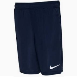 DRI FIT PARK 20 short...