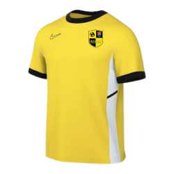 MAILLOT ACADEMY 25 JAUNE US...